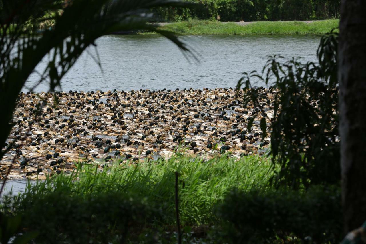 Green Palace Ayurveda Resort, Alleppey Alappuzha Luaran gambar